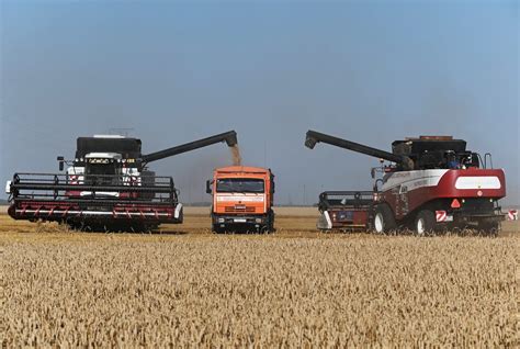 Traders union UGA wants EU to increase capacity of grain 'solidarity lanes'